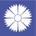 Авиакомпания Belavia